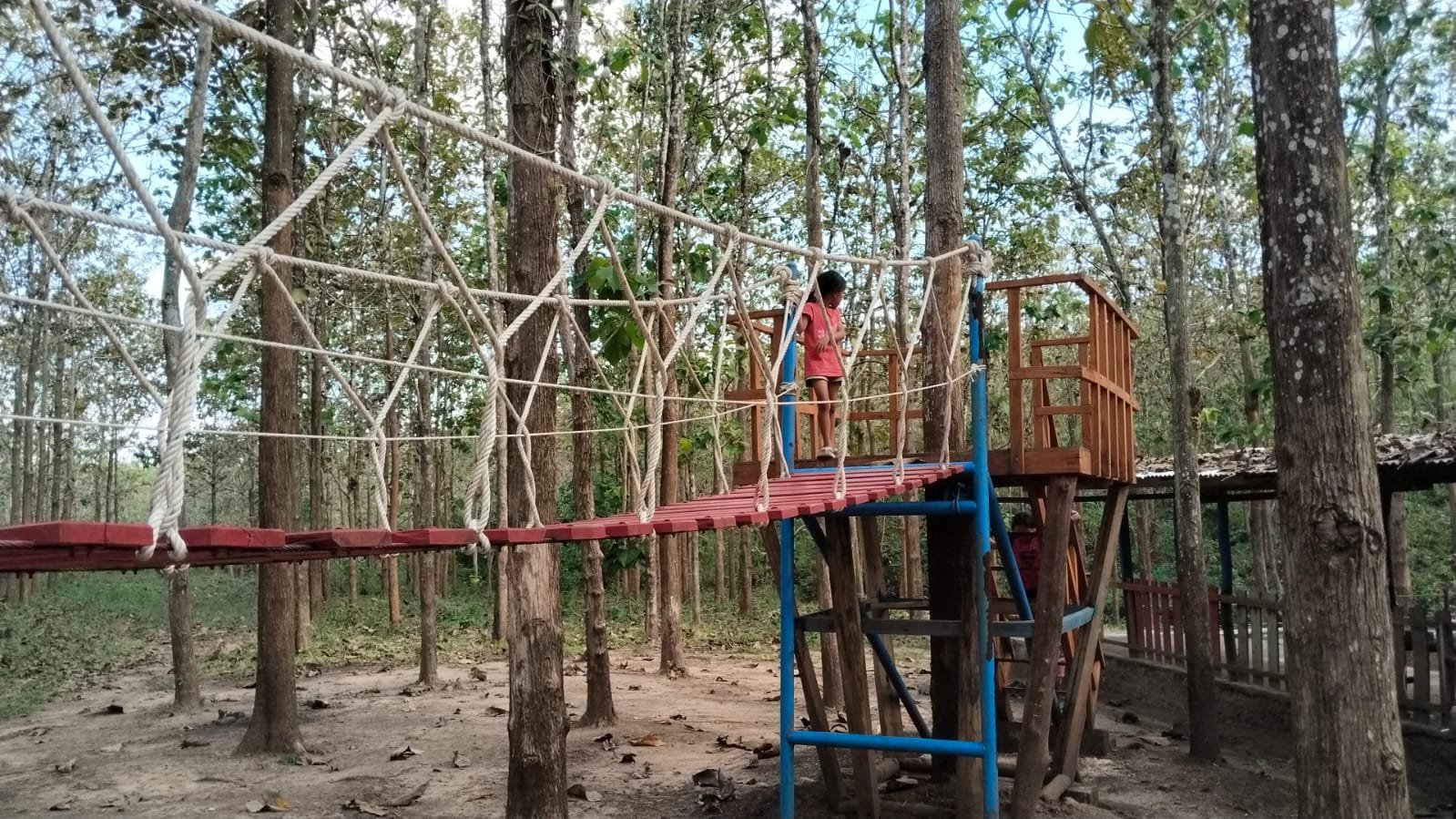 Taman Plumpung Blora Viral! Destinasi Alam Hijau di Tengah Hutan Jati yang Wajib Dikunjungi 2025