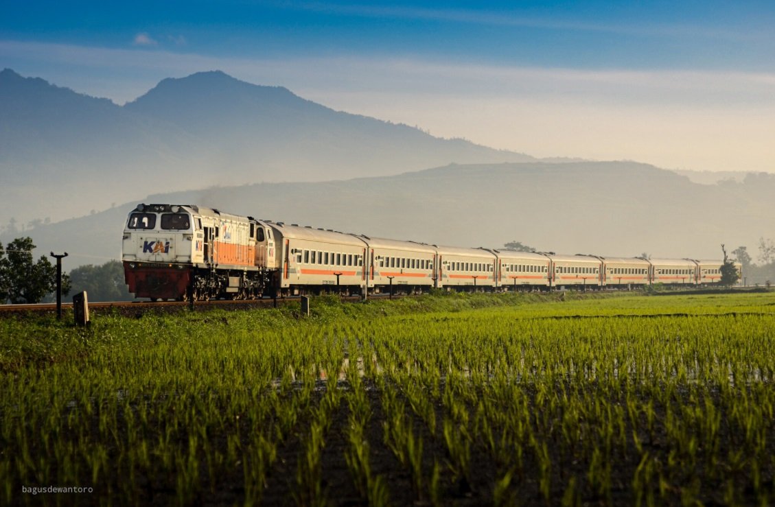 KAI Siapkan 49,6 Juta Tempat Duduk untuk Libur Natal 2025 dan Tahun Baru 2026