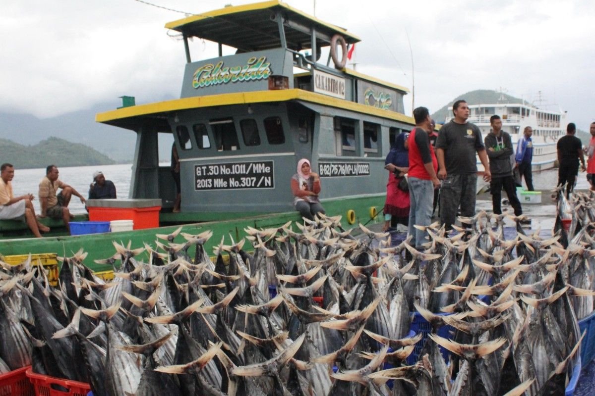 Investasi Sektor Kelautan dan Perikanan Capai Rp7,82 Triliun hingga Triwulan III 2025