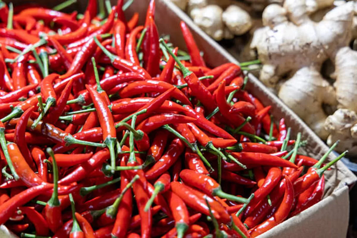 Harga Pangan Strategis: Cabai Rawit Merah dan Telur Ayam Naik, PIHPS Update Terbaru