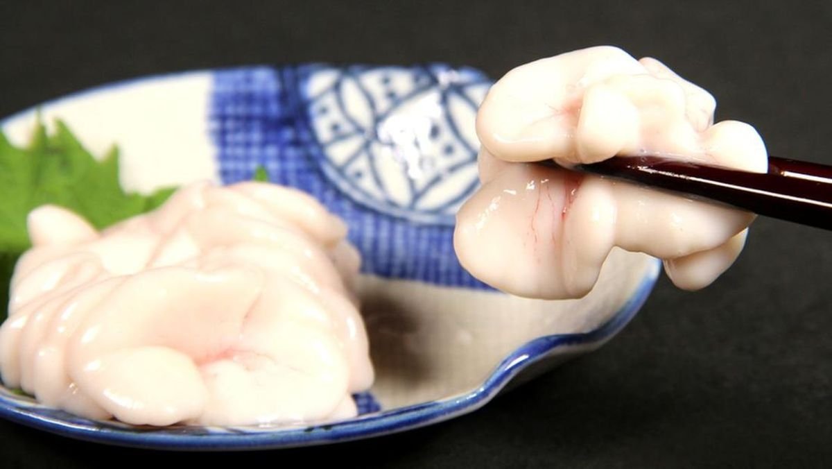 Shirako Viral di Jepang: Sensasi Kuliner Sperma Ikan yang Disebut Lezat dan Mewah