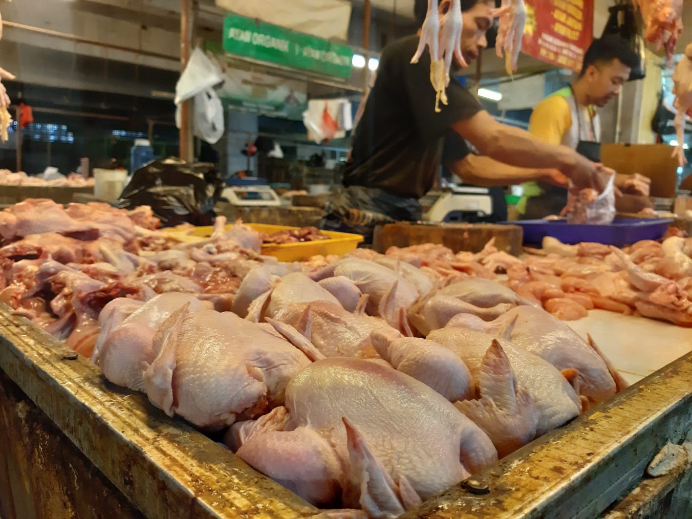 Harga Cabai Rawit dan Daging Ayam Dorong Kenaikan IPH Selama Ramadhan