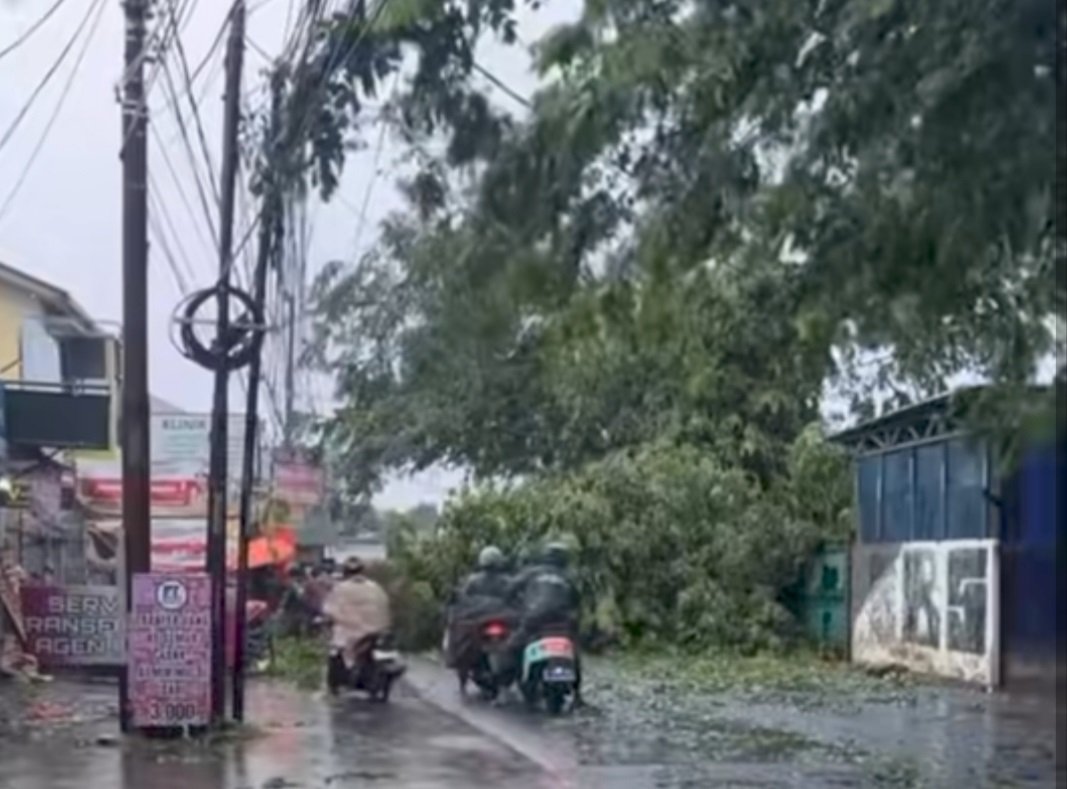 BPBD: Pohon Tumbang Terjadi di 5 Kelurahan Kota Bekasi