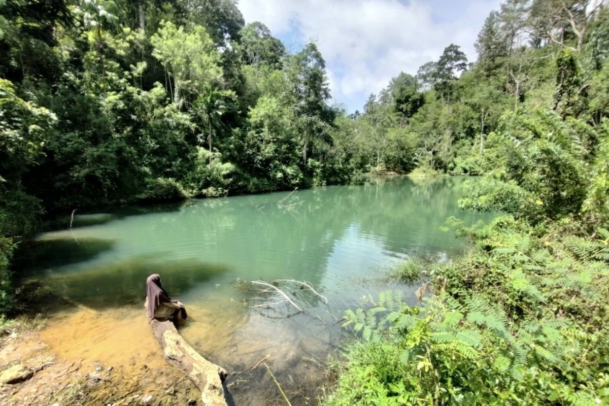 Danau Hijau Kepahiang Viral, Kunjungan Wisatawan Meningkat