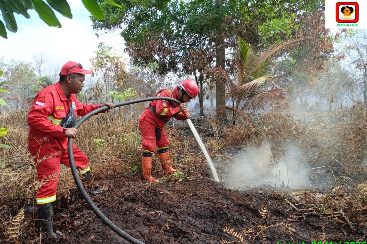 Karhutla Riau Meningkat Tajam pada 2026, Satgas Perkuat Patroli dan Pencegahan