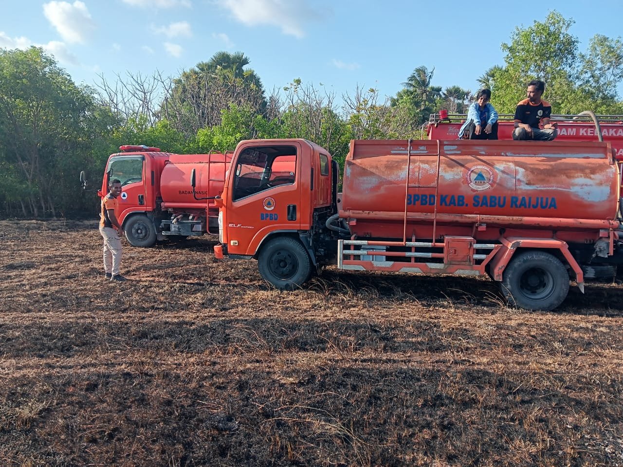 BNPB Imbau Warga Waspada, Kebakaran Lahan 20 Hektare Terjadi di NTT
