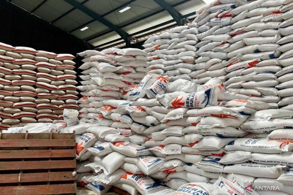 Kepala Bapanas Pastikan El Nino Tak Ganggu Ketahanan Pangan, Stok Beras Nasional Aman