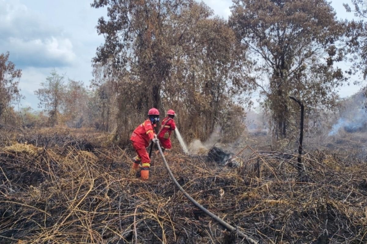 Tim Manggala Agni Terus Padamkan Karhutla di Aceh, Luas Area Terdampak Capai 28 Hektare
