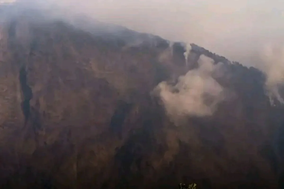 Kebakaran Lahan Terjadi di Gunung Rinjani, Lokasi di Luar Jalur Pendakian